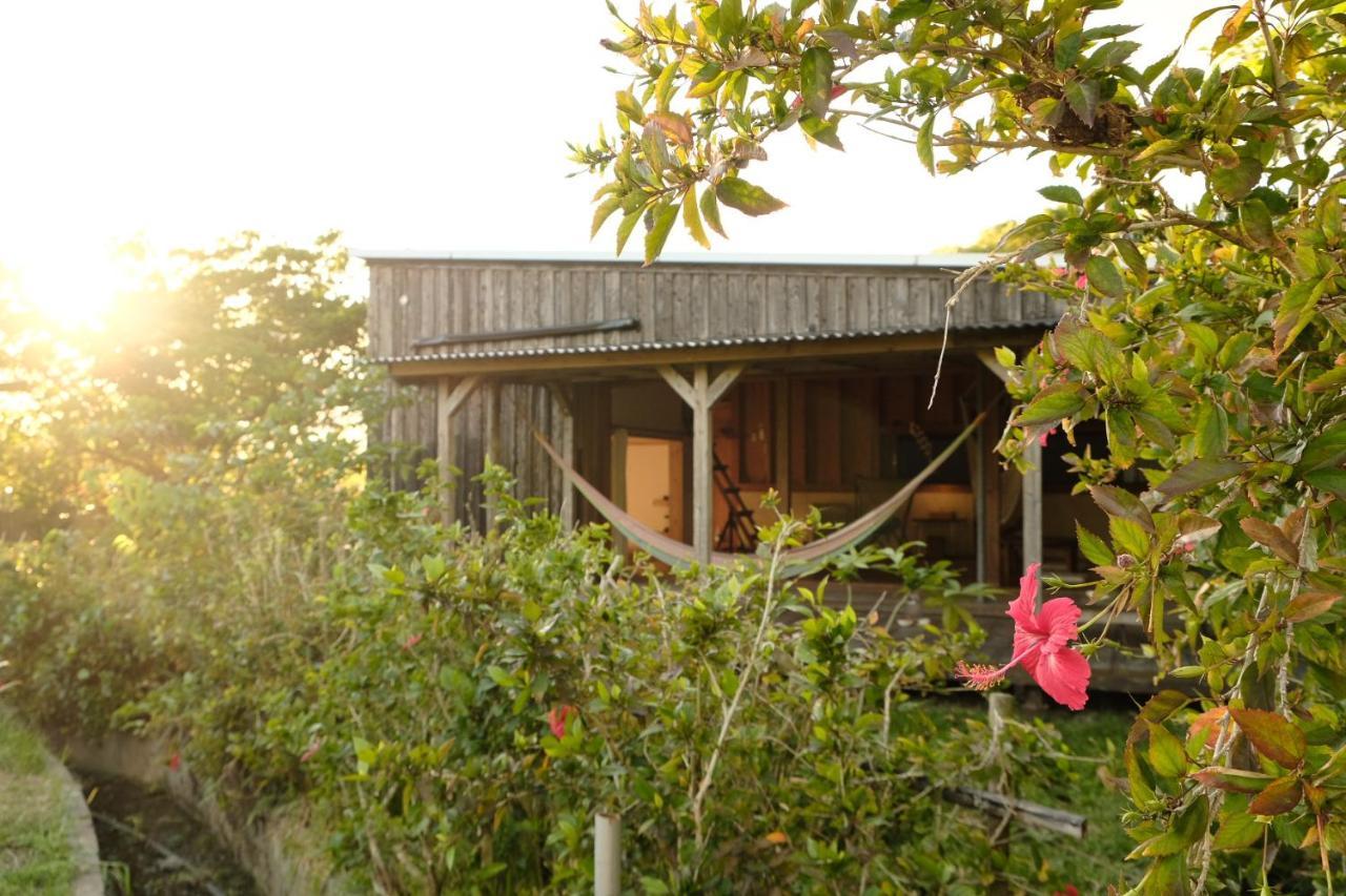 姉と弟の家 Hotell Nanjo Exteriör bild